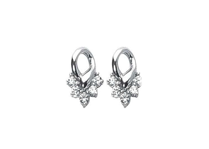 Rhodium Plated | Fashion Earrings